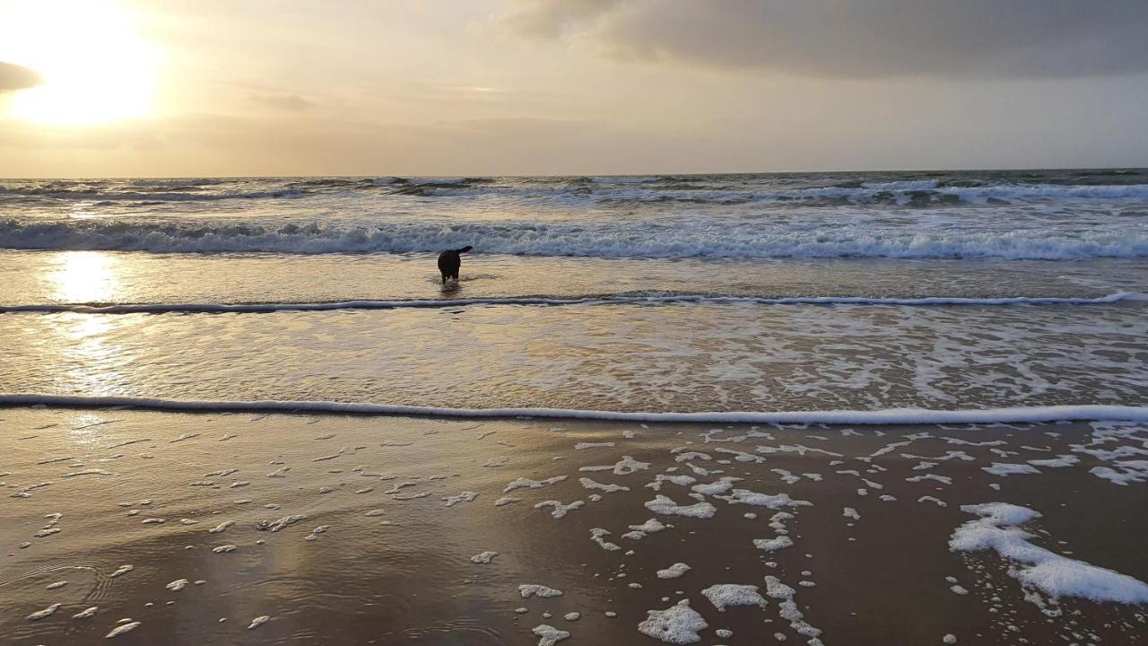 Luxe Zomerwoning Met Omheinde Tuin Voor Hond En Kinderen Dirkshorn Esterno foto