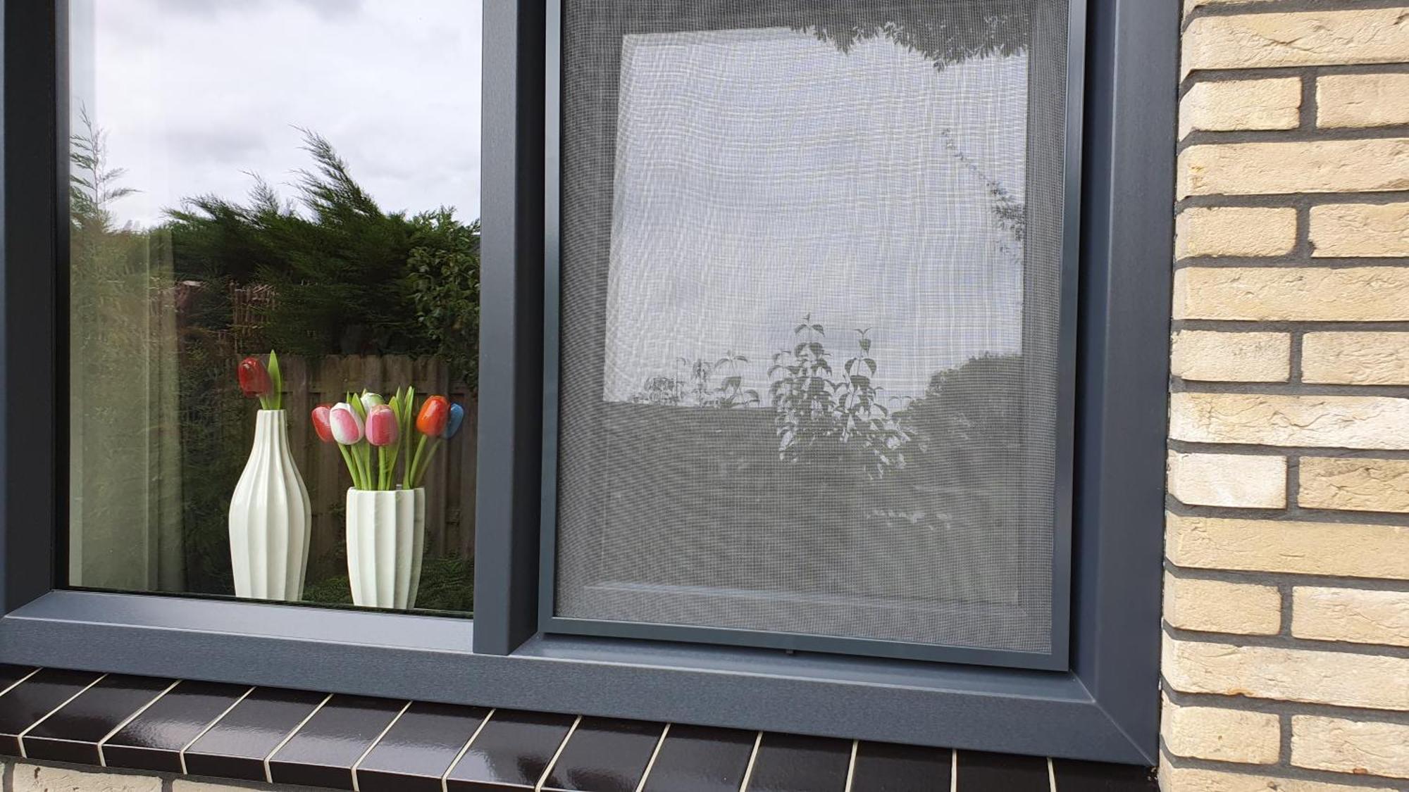 Luxe Zomerwoning Met Omheinde Tuin Voor Hond En Kinderen Dirkshorn Esterno foto